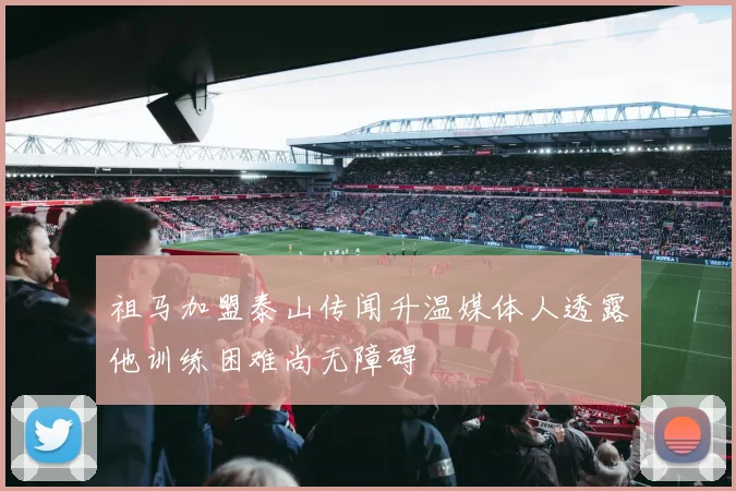 祖马加盟泰山传闻升温媒体人透露他训练困难尚无障碍