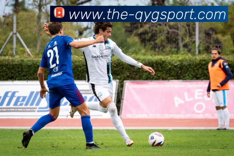 奇异果体育全站App